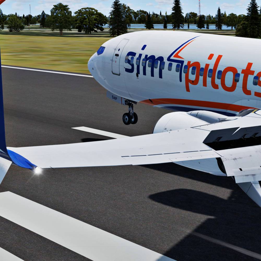 plane sim4pilots